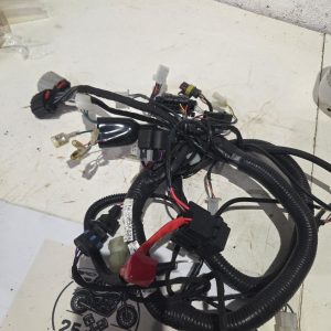 Lexmoto Isca 2025 Wiring loom/harness