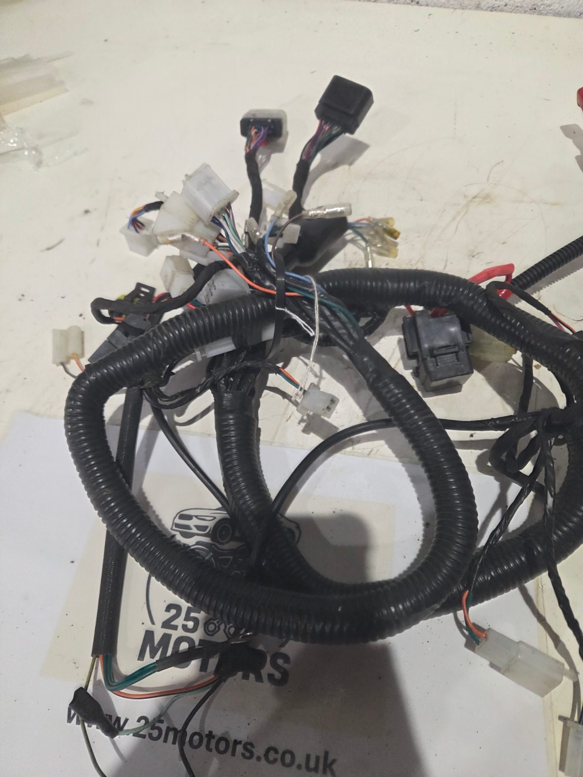 Lexmoto Isca 2025 Wiring loom/harness